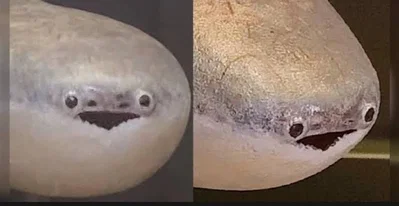 THESE FUCKERS ARE ALIVE IN ZZZ, WHAT THE  