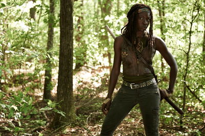 Michonne Hawthorne
