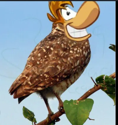 Rayman Bird 