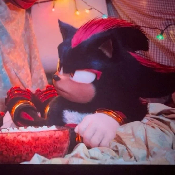 Shadow The Hedgehog