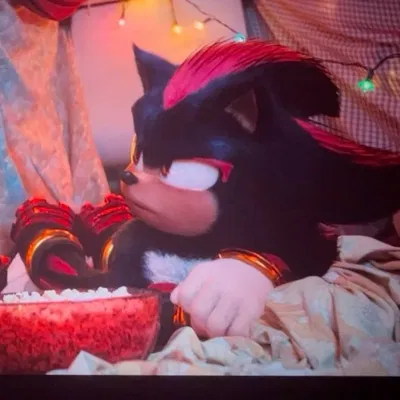 Shadow The Hedgehog