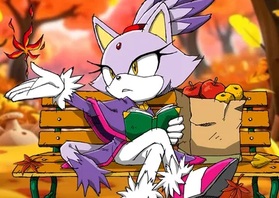 Blaze the Cat