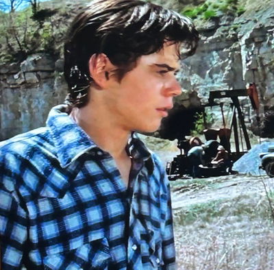 Ponyboy Curtis