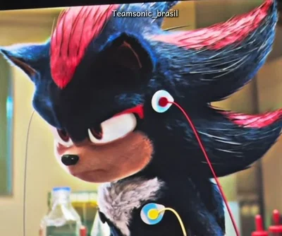 SHADOW THE HEDGEHOG