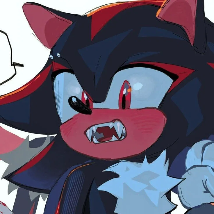 SHADOW THE HEDGEHOG 