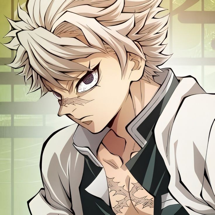 Sanemi shinazugawa 