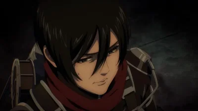 Alpha Mikasa