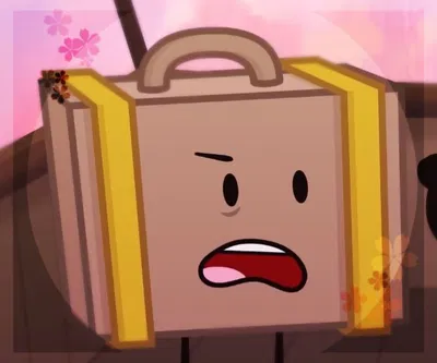 Suitcase - II
