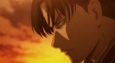 Levi Ackerman