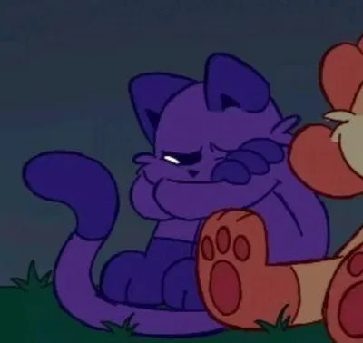 Catnap