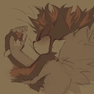 Shadow the hedgehog💤
