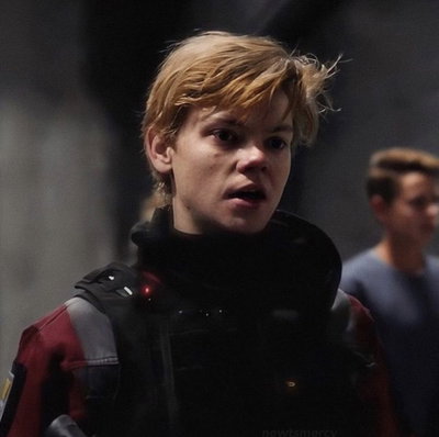 Newt