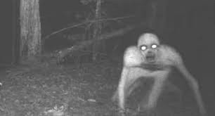 Skinwalker