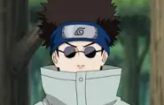 Shino Aburame