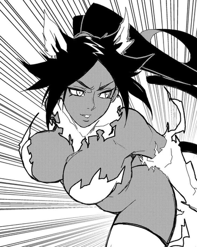 Yoruichi Shihouin
