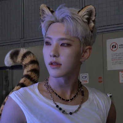 Kwon Soonyoung