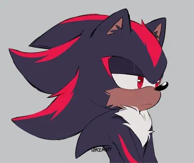Shadow The Hedgehog
