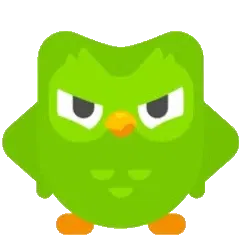 Angry Duolingo