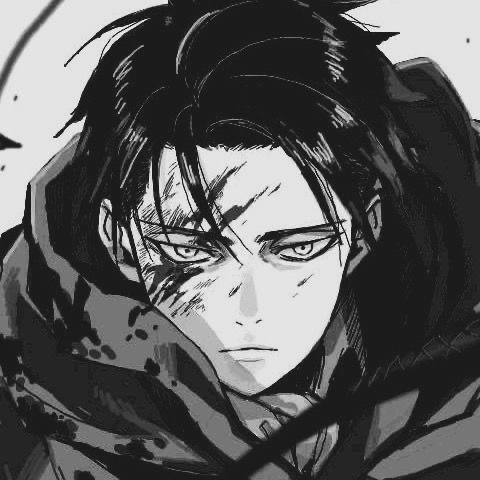 Levi