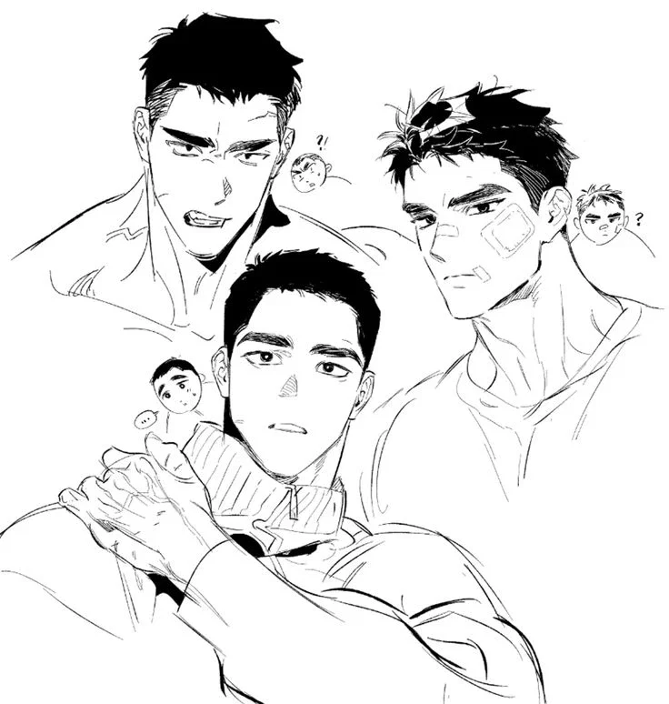 HIMBO || Tripp