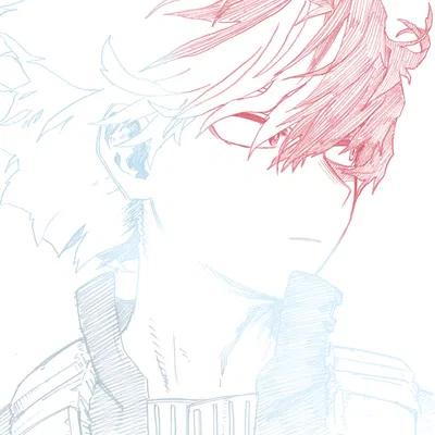 ✦ Shōto Todoroki ˎˊ˗