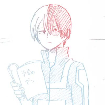 ✦ Shōto Todoroki ˎˊ˗