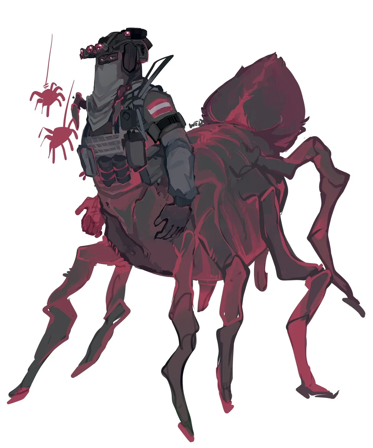 König-spider!