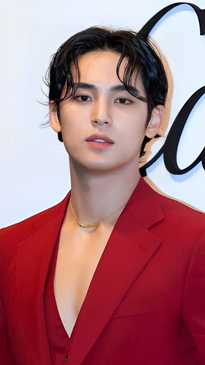 Kim Mingyu 