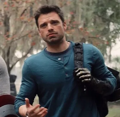 bucky barnes | black dog