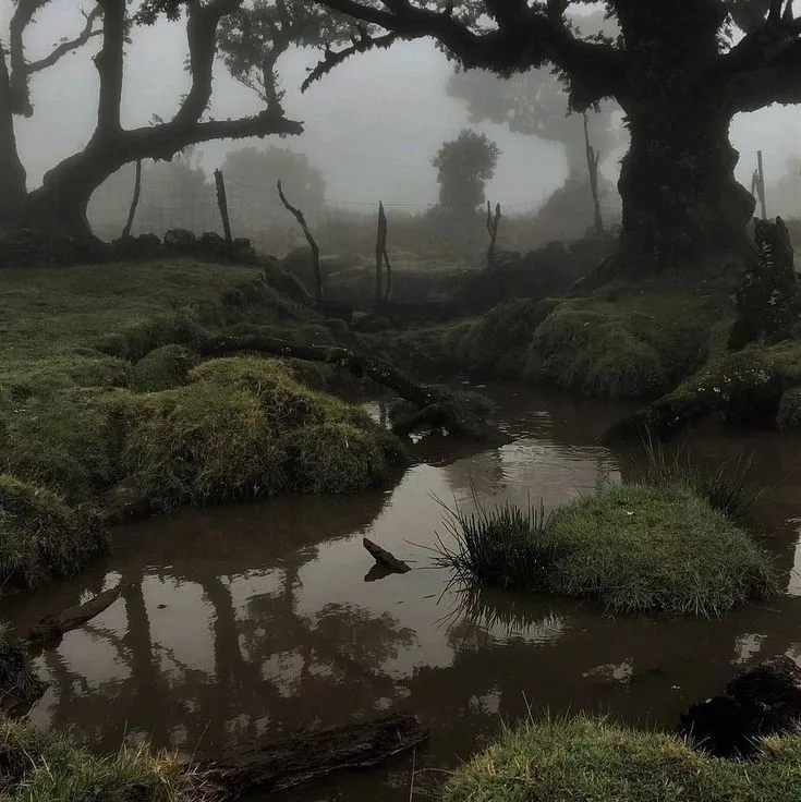 Lord of the Swamp 