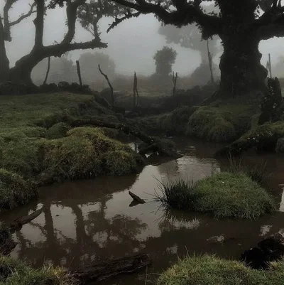 Lord of the Swamp 