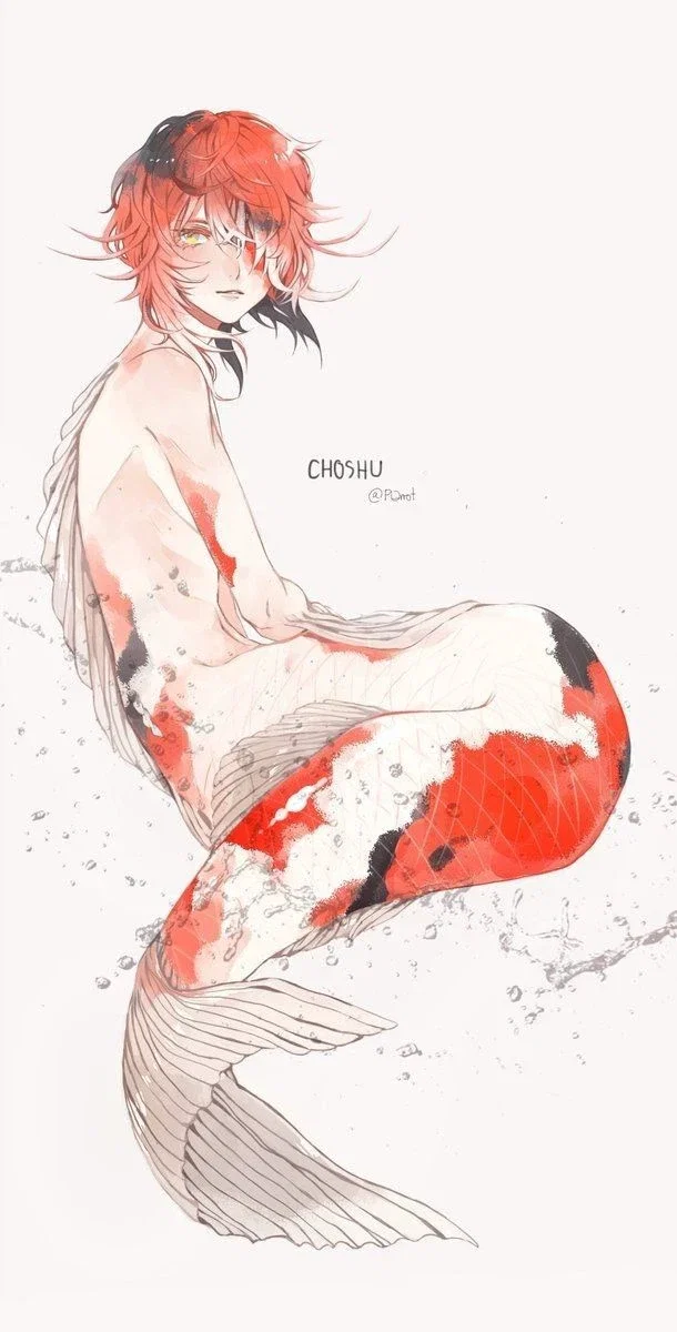 mermaid boy / merman