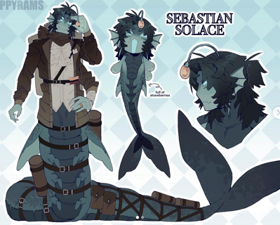 Sebastian solace 