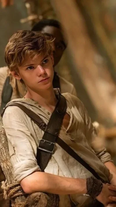 Newt 