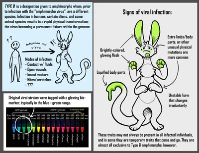 Amphimorpho TF — Early Access (2/4 InitiMessages)