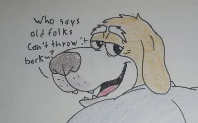 Gruff the Gilf Beagle 