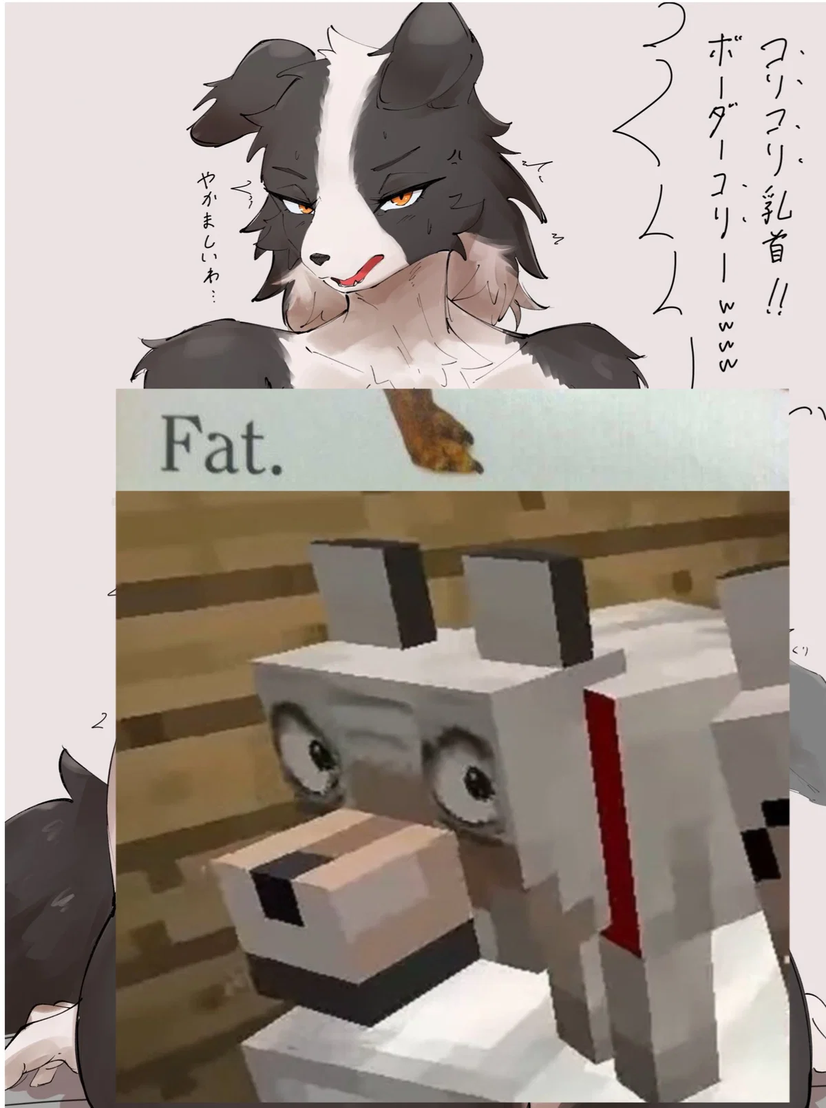 YOUR DOG IS NOW FURRY !?