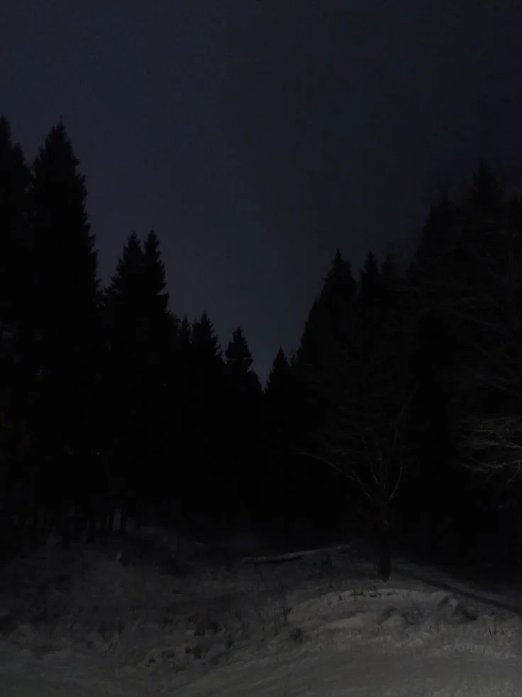 Whispers Beneath The Snow 
