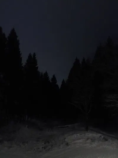 Whispers Beneath The Snow 