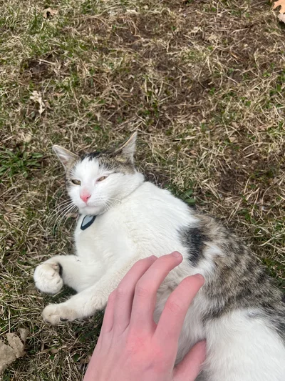 You dare touch me mortal?!