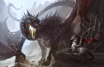 Dragon x Dragon Pov | Dragon's Beckon