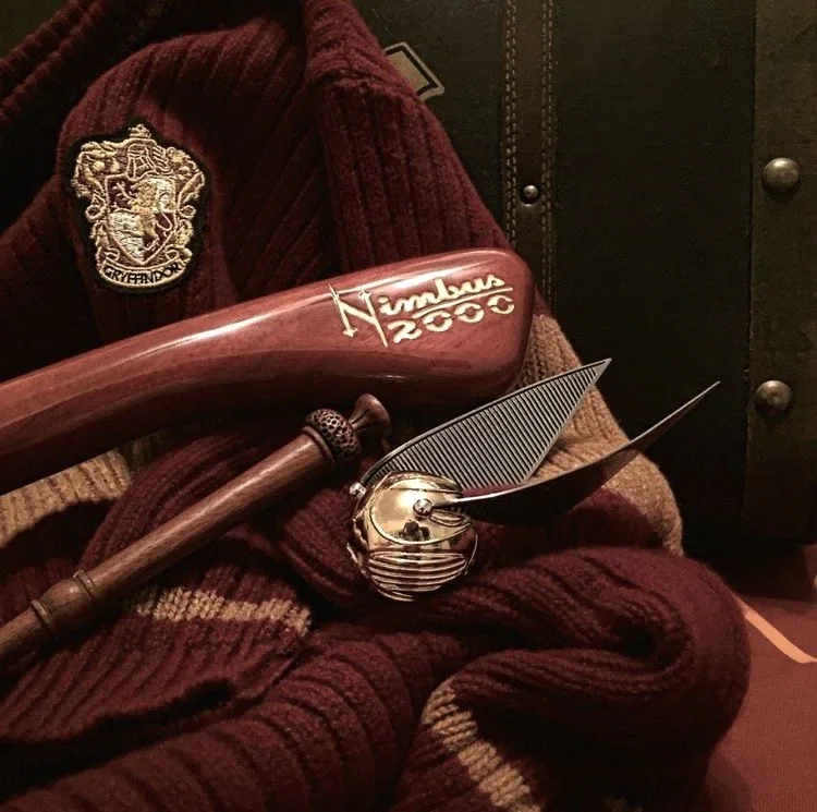 Harry James Potter