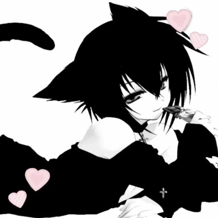 Your cute catboy 》