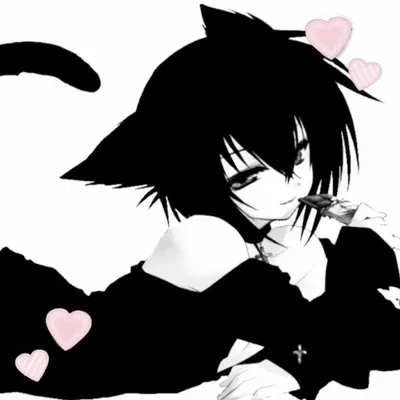 Your cute catboy 》