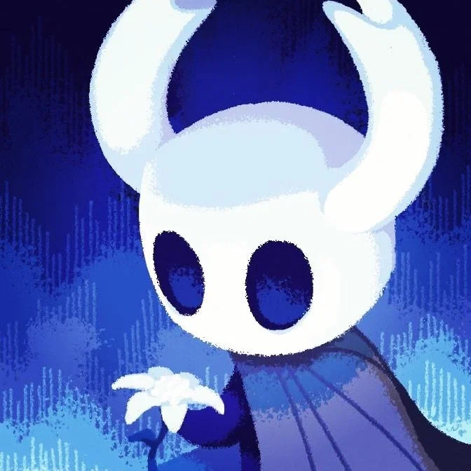 The Knight | Hollow Knight