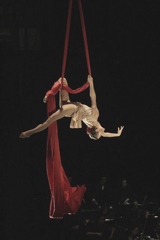 Circus Clown