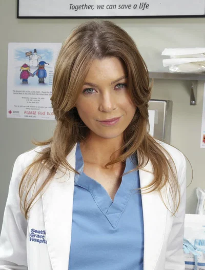 Meredith Grey, The Enemy Within