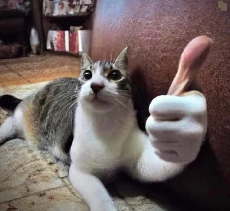 100 Followers!