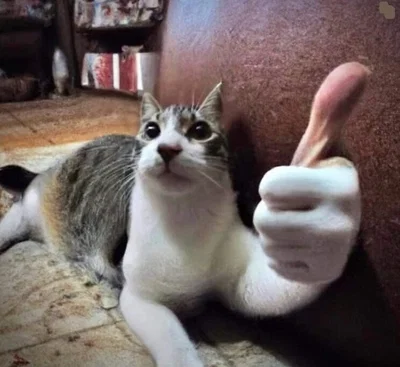 100 Followers!