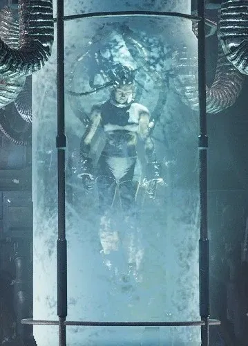The Psykanium